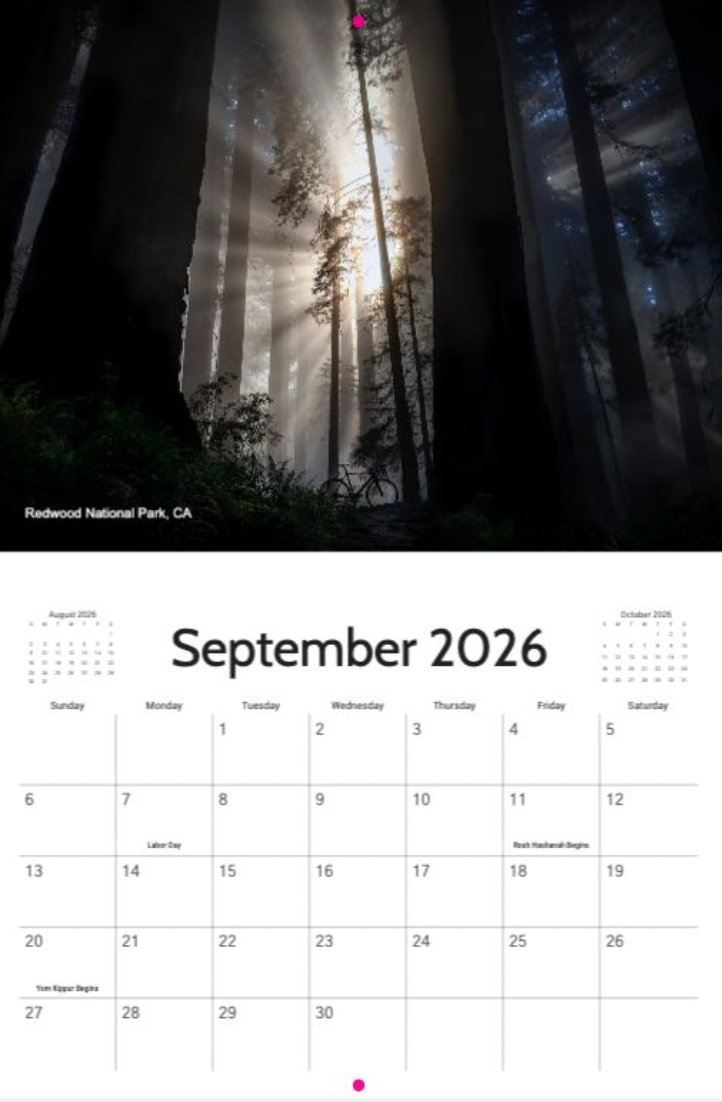 2026 Destefano Cycling Wall Calendar - sponsored by Zeta Saddles