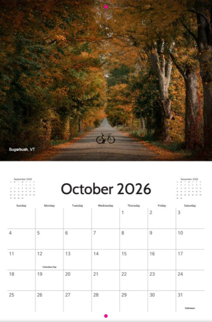 2026 Destefano Cycling Wall Calendar - sponsored by Zeta Saddles