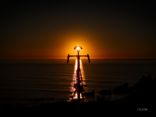 2026 Destefano Cycling Wall Calendar - sponsored by Zeta Saddles